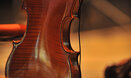 Viola